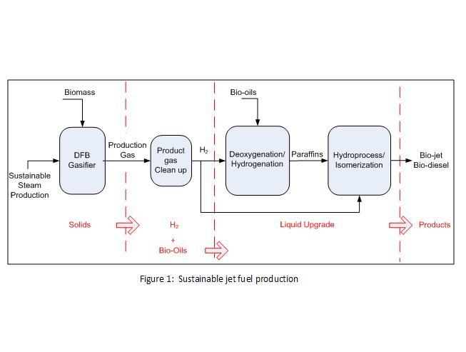 Biomass Gasification for H2 Production